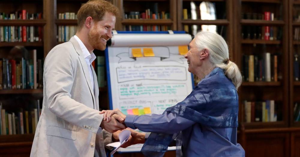 Harry Princeharry - Meghan Markle - Royal Family - Jane Goodall - Prince Harry is 'finding life abroad challenging' after quitting Royal Family - dailystar.co.uk - Usa - Los Angeles - Canada