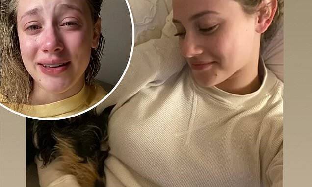Lili Reinhart - Lili Reinhart cuddles up with her dog Milo as he recovers from being attacked by another dog - dailymail.co.uk