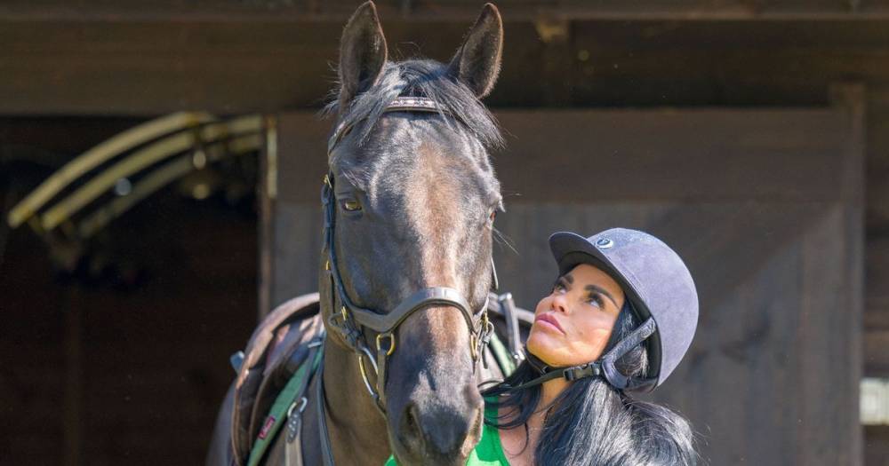 Katie Price - Katie Price takes her horse for a ride as she enjoys relaxed Easter weekend with Harvey - mirror.co.uk