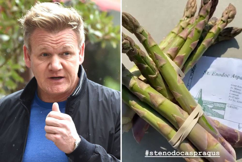 Gordon Ramsay - Gordon Ramsay has a dig at Cornish locals as he praises ‘generous neighbour’ who left him a gift - thesun.co.uk