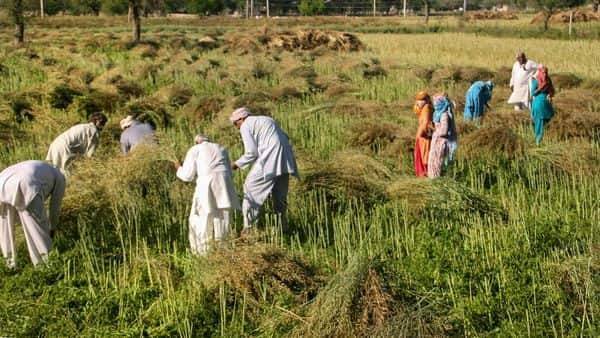 With curbs extended till 3 May, all eyes on relief for rural sector - livemint.com