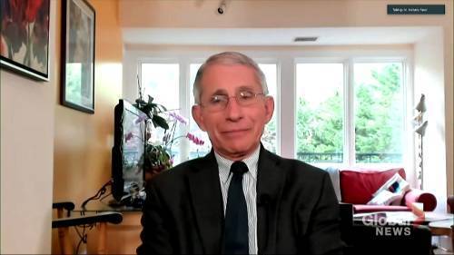Anthony Fauci - Coronavirus outbreak: Fauci cautions against “overly optimistic” WH projections on reopening U.S. economy - globalnews.ca