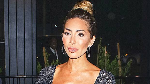 Farrah Abraham - Farrah Abraham Torches Troll For Being ‘Blinded’ By ‘Hate’ After Dragging Her Outfit On Instagram - hollywoodlife.com