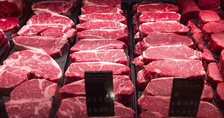 Meat prices, supply could change as industry grapples with COVID-19 - globalnews.ca - Usa - Canada