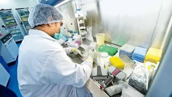 Scientists study immune system in a bid to stop covid in its tracks - livemint.com - India