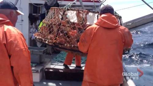 Callum Smith - Calls for delay to spring fishing season - globalnews.ca