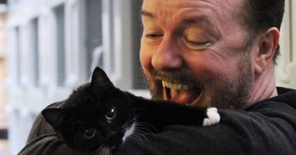 Ricky Gervais - Ricky Gervais slams 'f*****g idiots' who refuse to adopt black cats due to bad selfies - dailystar.co.uk