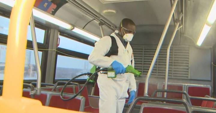 Coronavirus: 38 Toronto bus drivers refuse to work, cite workplace safety concerns - globalnews.ca