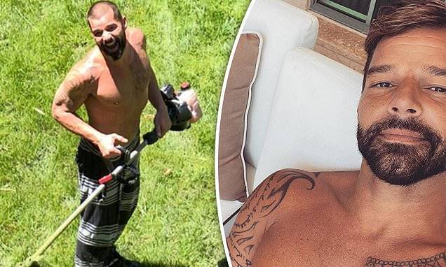 Ricky Martin - Ricky Martin shows off his landscaping skills with shirtless picture amid the coronavirus pandemic - dailymail.co.uk - state California
