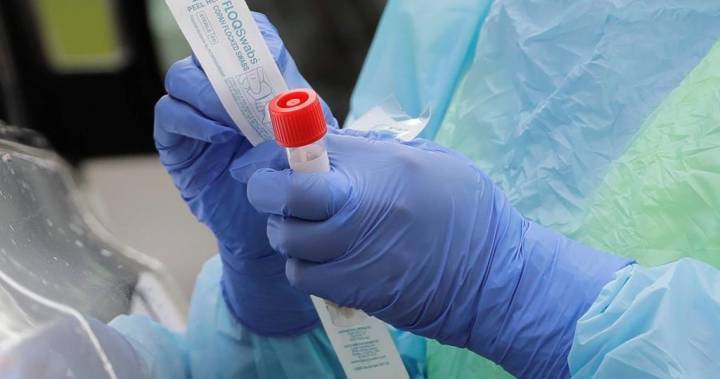2 deaths, 8 new cases, 1 new coronavirus outbreak in London-Middlesex; 2nd outbreak in Lambton - globalnews.ca - city London - county Middlesex - county Lambton