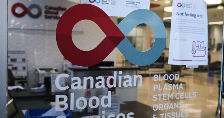 Tracy Smith - Canadian Blood Services sees increase in Alberta donations after call to action - globalnews.ca - county Prairie