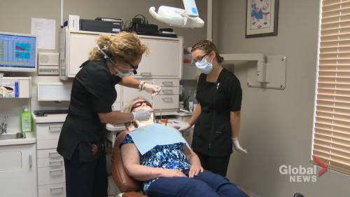 Nova Scotia - Jesse Thomas - Nova Scotia dentists feeling pinch of COVID-19 pandemic - globalnews.ca