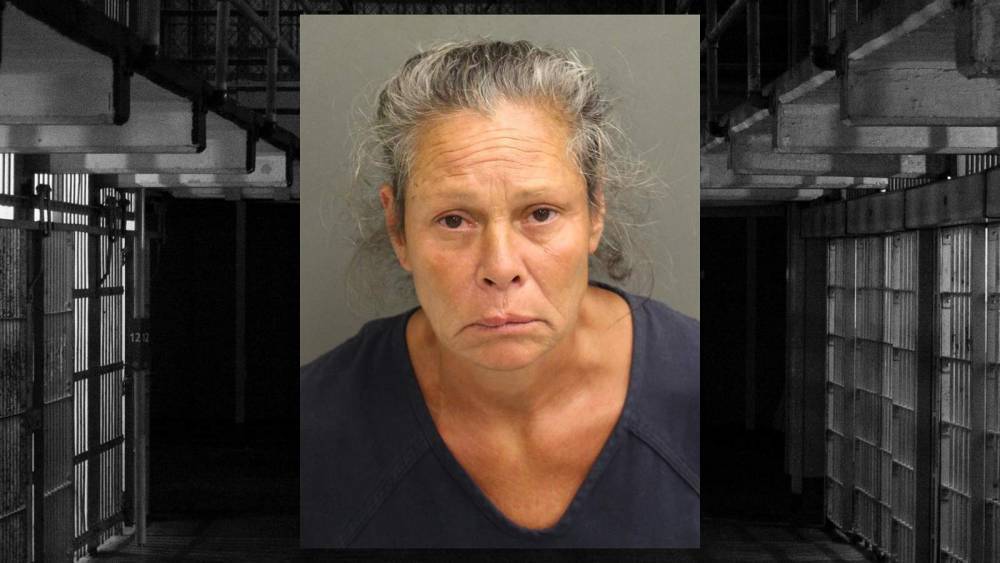 Florida woman accused of beating 58-year-old man to death, deputies say - clickorlando.com - state Florida - county Orange