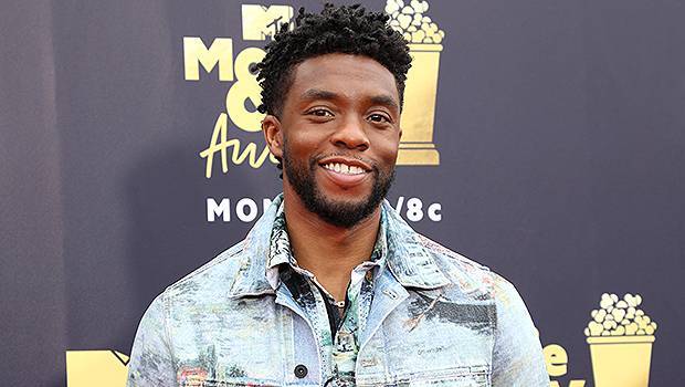 Chadwick Boseman - ‘Black Panther’s Chadwick Boseman Appears Super Thin In New Video Fans Fear For Him - hollywoodlife.com - state South Carolina