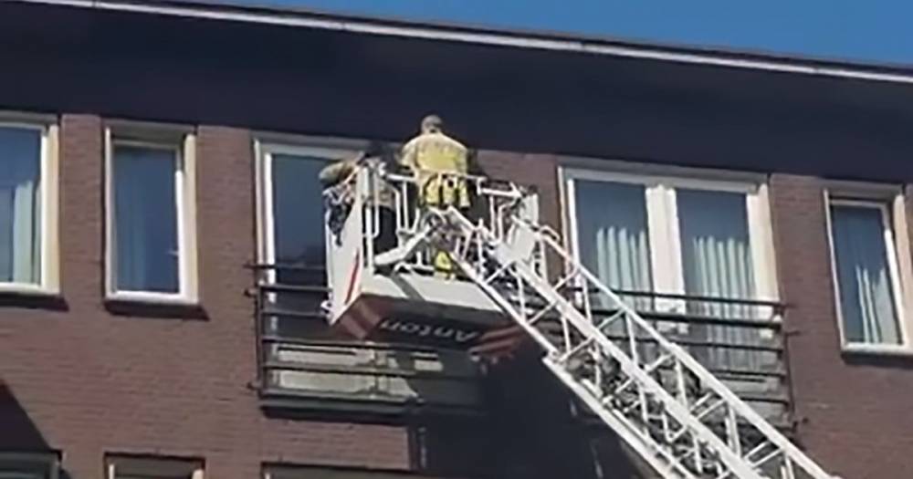 Desperately ill man's family say last goodbyes after firemen lift them up to his window - mirror.co.uk - city Amsterdam