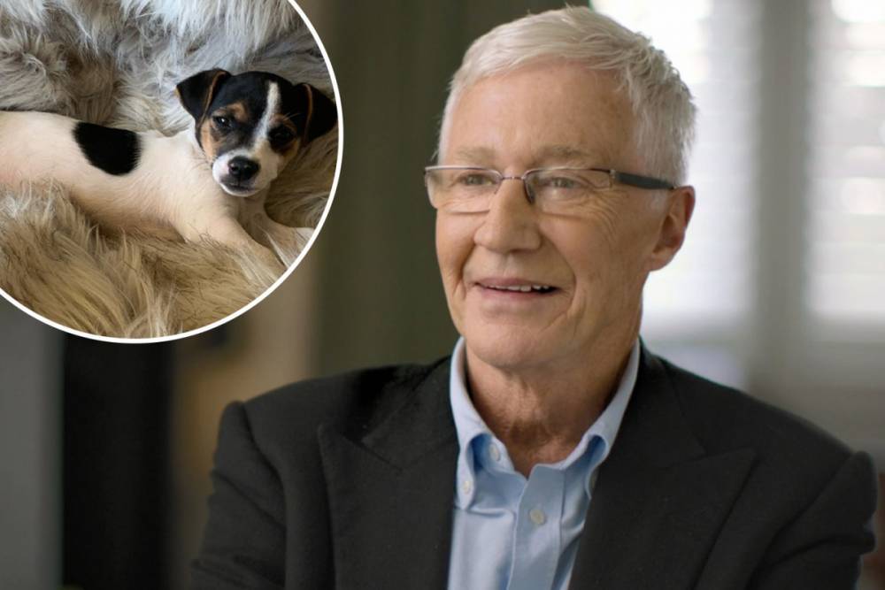 Paul O’Grady reveals new puppy Nancy after announcing heartbreaking death of his older dog - thesun.co.uk