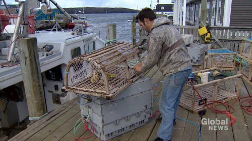 Nova Scotia - Elizabeth Macsheffrey - Woman calls for shutdown of lobster spring season - globalnews.ca - city Ottawa