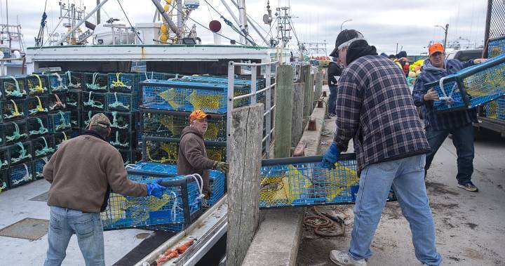 Lobster fishers who decline work due to COVID-19 are eligible for federal benefits: Ottawa - globalnews.ca - Canada - city Ottawa - county Ocean