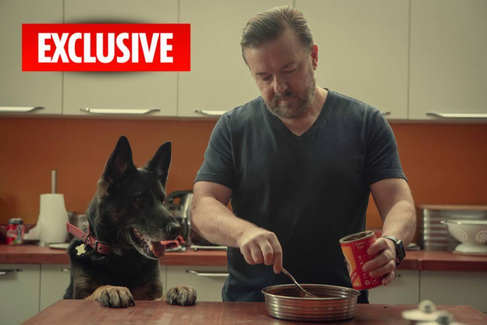Ricky Gervais - Tony Johnson - Ricky Gervais boosts his companies’ earnings by £2m after landing huge Netflix deal - thesun.co.uk - county Johnson