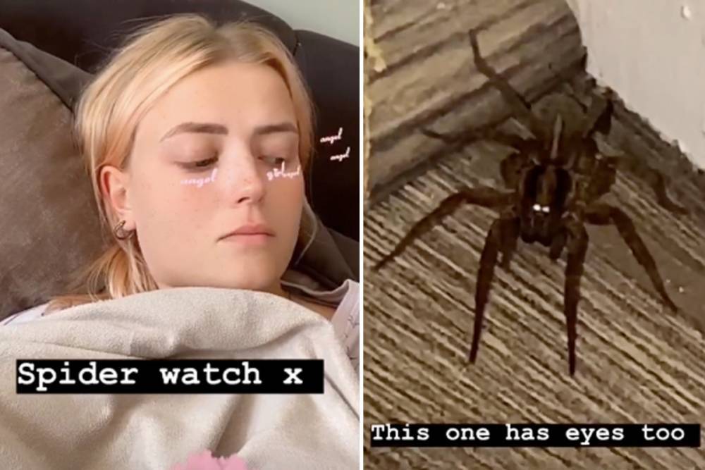 Lucy Fallon - Coronation Street’s Lucy Fallon petrifies fans with pic of massive spider inside her home - thesun.co.uk