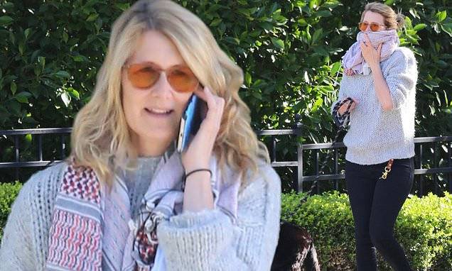 Laura Dern - Laura Dern covers her face with a patterned scarf and chats on the phone while out walking her dog - dailymail.co.uk - Los Angeles - city Los Angeles