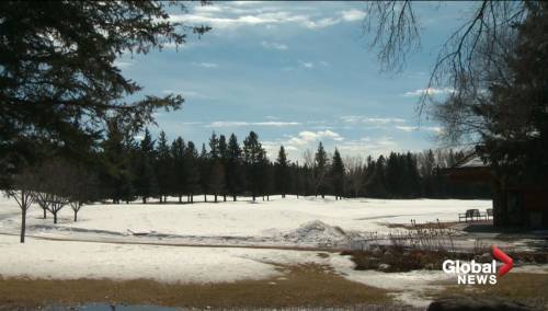 Alberta golf ban concerning for charities and fundraisers - globalnews.ca