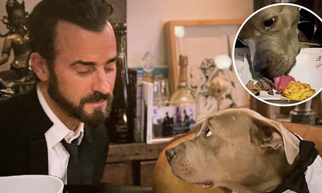 Justin Theroux - Justin Theroux and his rescue dog Kuma don matching formal wear for another candlelight dinner - dailymail.co.uk - New York
