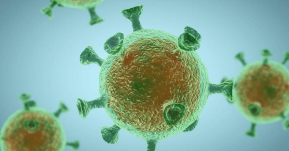 No evidence to prove coronavirus survivors are immune to bug, say World Health Organisation - dailyrecord.co.uk - Britain