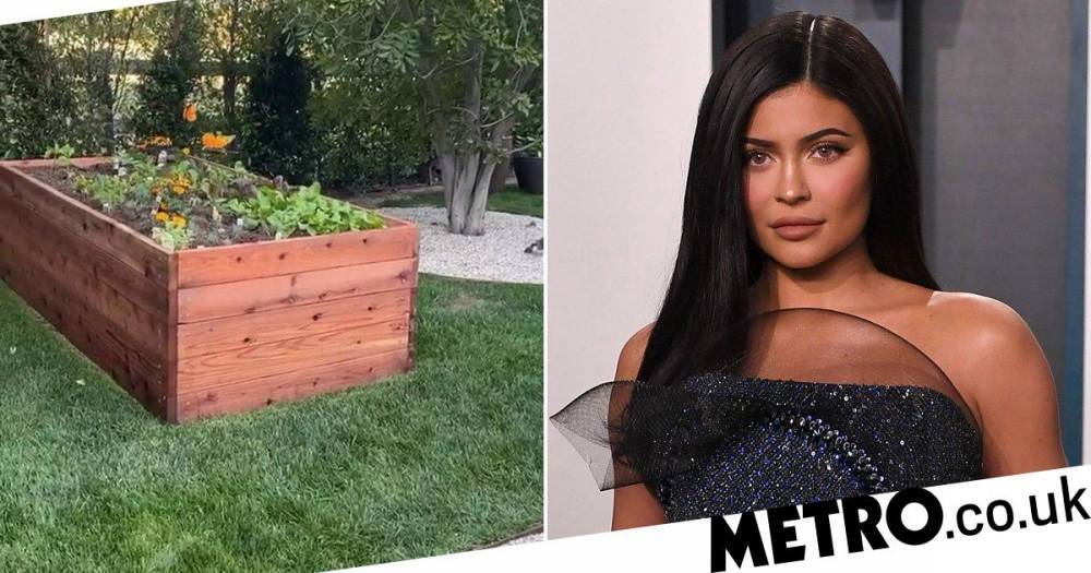 Kylie Jenner - Kylie Jenner getting excited about gardening and having an allotment is so pure - metro.co.uk