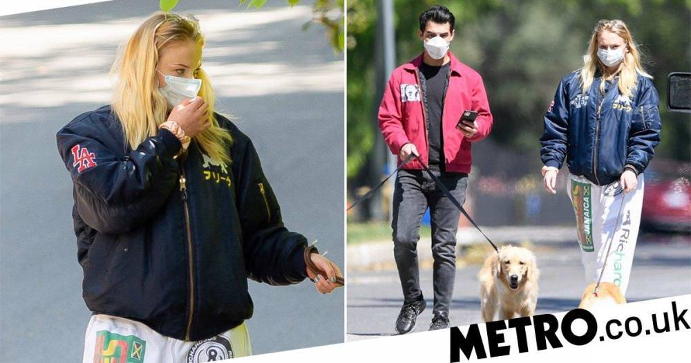 Joe Jonas - Sophie Turner - Sophie Turner and Joe Jonas walk their dogs in masks as they keep fans guessing about ‘pregnancy’ - metro.co.uk