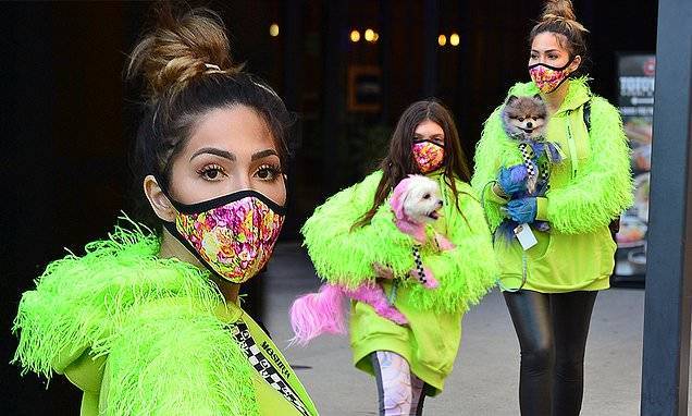Farrah Abraham - Farrah Abraham sports matching fluro with Sophia and fur dyed dogs during attention seeking outing - dailymail.co.uk