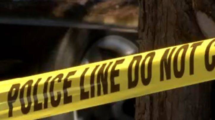 Fern Rock - Police: Man found shot to death inside car in Fern Rock - fox29.com - county Montgomery
