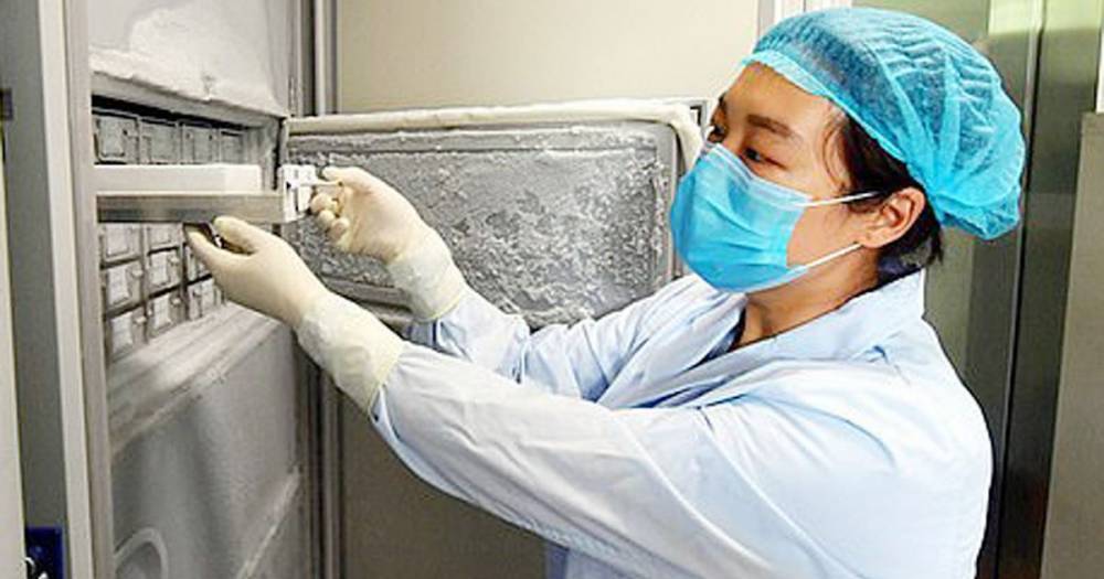 Wuhan lab photos show battered old fridge used to hold 1,500 coronavirus strains - dailystar.co.uk - China - city Wuhan - province Hubei