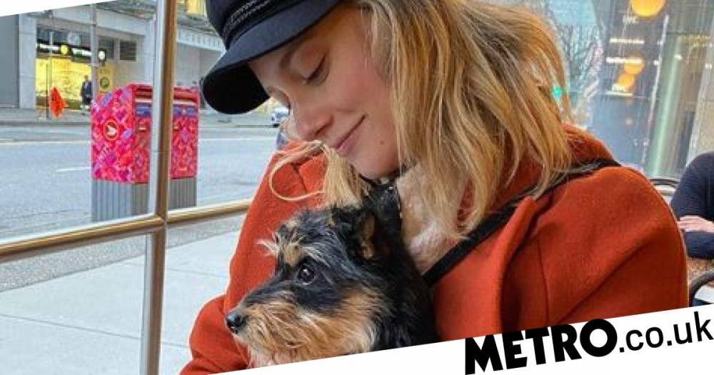 Riverdale star Lili Reinart’s dog ‘skittish’ as he recovers from surgery after ‘horrific’ attack - metro.co.uk
