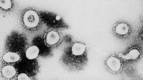David Nabarro - Coronavirus: Don’t bet on Covid-19 vaccine, says world health guru David Nabarro - livemint.com - Britain