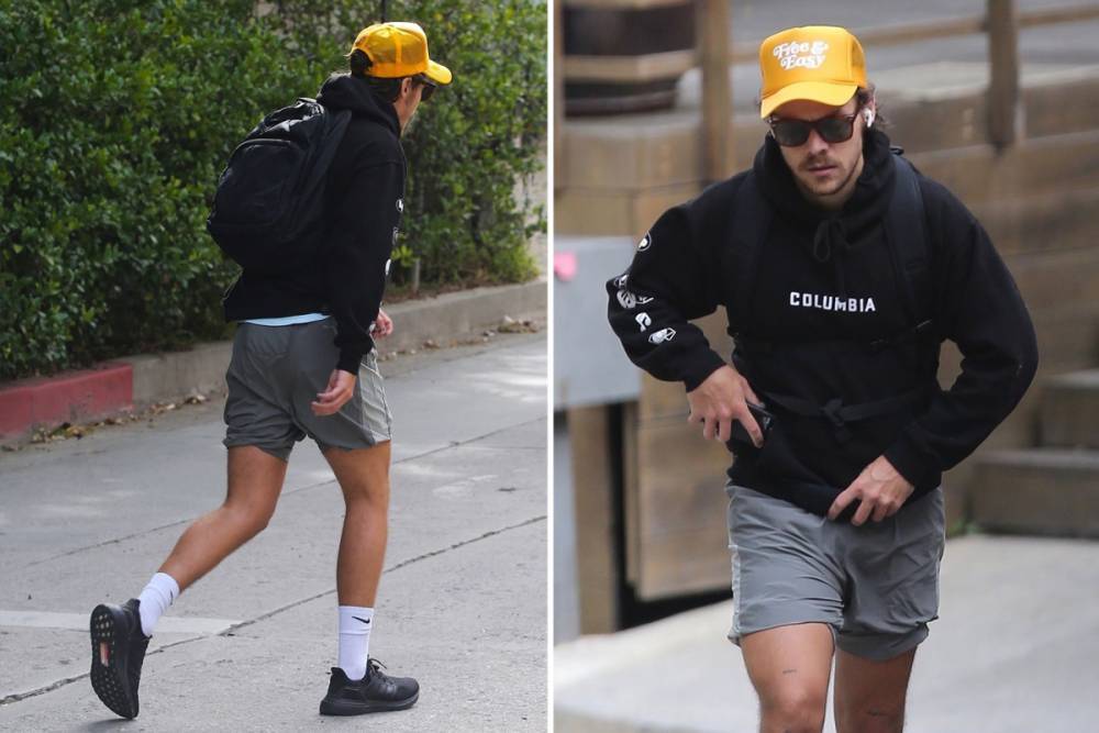 Harry Styles goes for a lonely hike in the Hollywood hills after revealing he’s stuck in US amid coronavirus lockdown - thesun.co.uk - Usa - Los Angeles - state California - county Hill - city Hollywood, county Hill