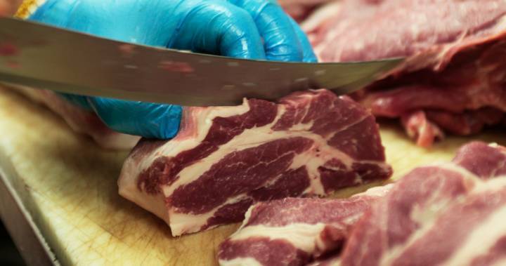 Coronavirus: Alberta increases food inspector capacity as demand for meat rises - globalnews.ca
