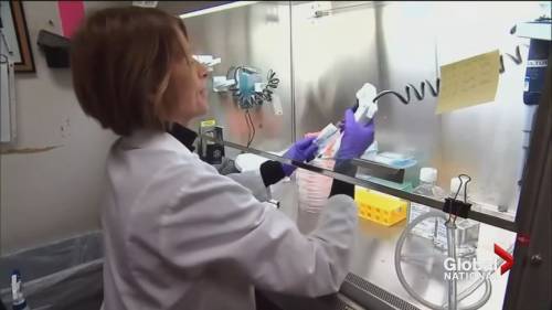 Researchers testing potential COVID-19 therapies - globalnews.ca - Canada