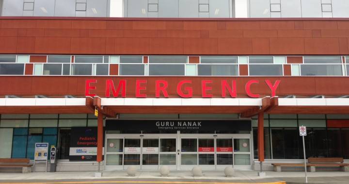 Surrey Hospital Foundation COVID-19 Response Fund garners ‘overwhelming’ support - globalnews.ca