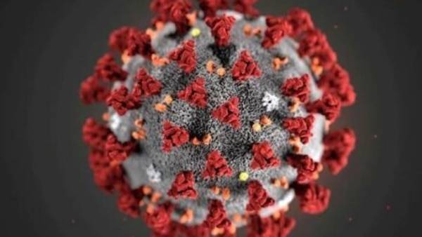 Australian scientists start testing two potential COVID-19 vaccines - livemint.com - Australia