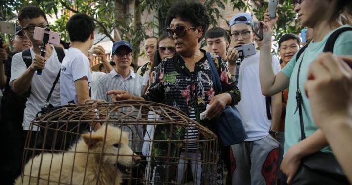 Shenzhen bans eating dogs, cats in post-coronavirus first for China - globalnews.ca - China - city Wuhan - city Shenzhen