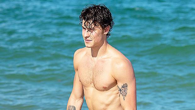 Shawn Mendes - Shawn Mendes’ Trainer Alec Penix Reveals Perfect HIIT Workout You Can Even Do In A Tiny Apt - hollywoodlife.com