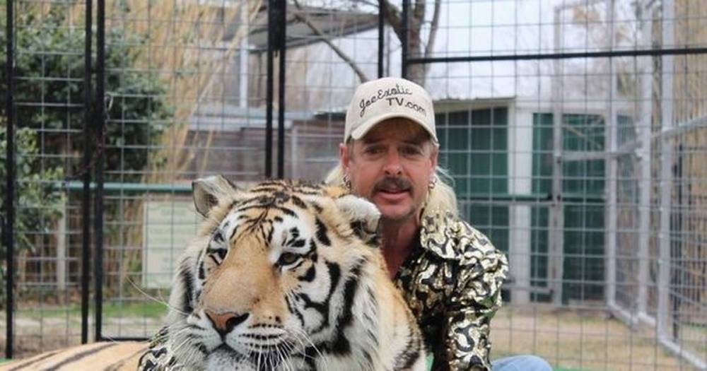 Andy Cohen - Dillon Passage - Tiger King star Joe Exotic has contracted coronavirus in prison - dailyrecord.co.uk - Usa