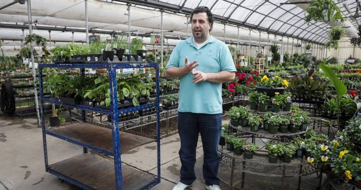 Nova Scotia - ‘I just want to survive’: Canadian greenhouses struggling with economic reality of COVID-19 - globalnews.ca - county Garden