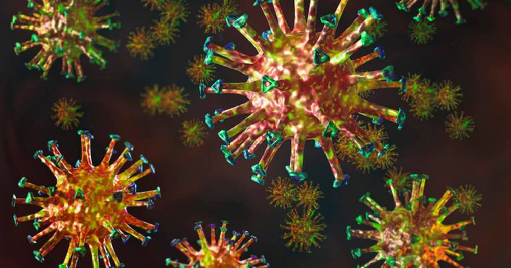 High temperatures may not be enough to kill off coronavirus, study shows - dailystar.co.uk - France