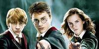 You can now be paid $1000 to watch every Harry Potter movie - lifestyle.com.au