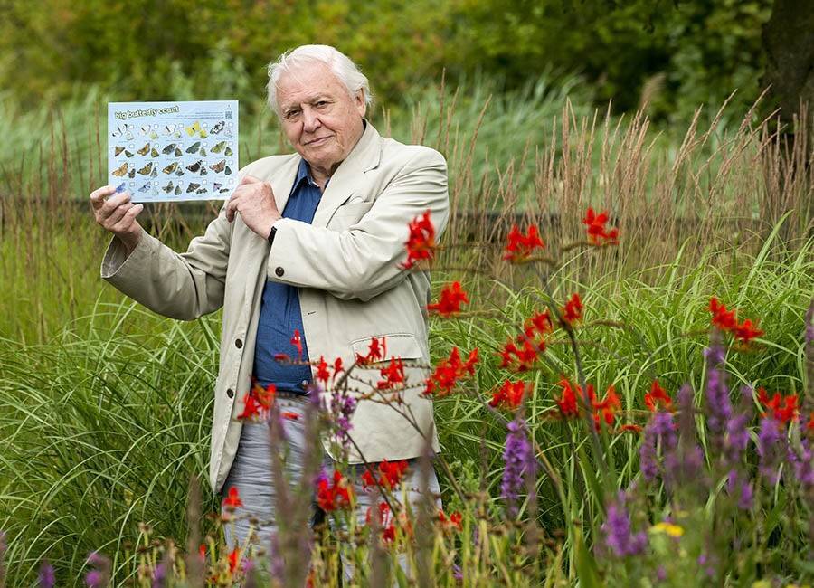David Attenborough - Sergio Aguero - David Attenborough among celebs to star in new BBC home schooling programme - evoke.ie - Spain