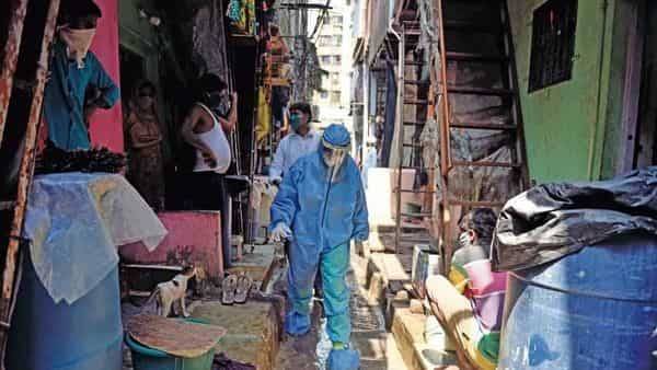 Coronavirus: Dharavi reports 30 new Covid-19 cases today, tally rises to 168 - livemint.com - city Mumbai