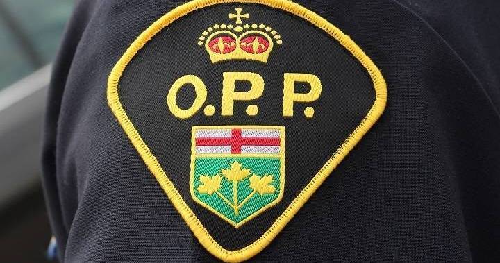 Grocery money stolen from elderly woman in Perth, Ont., say OPP - globalnews.ca