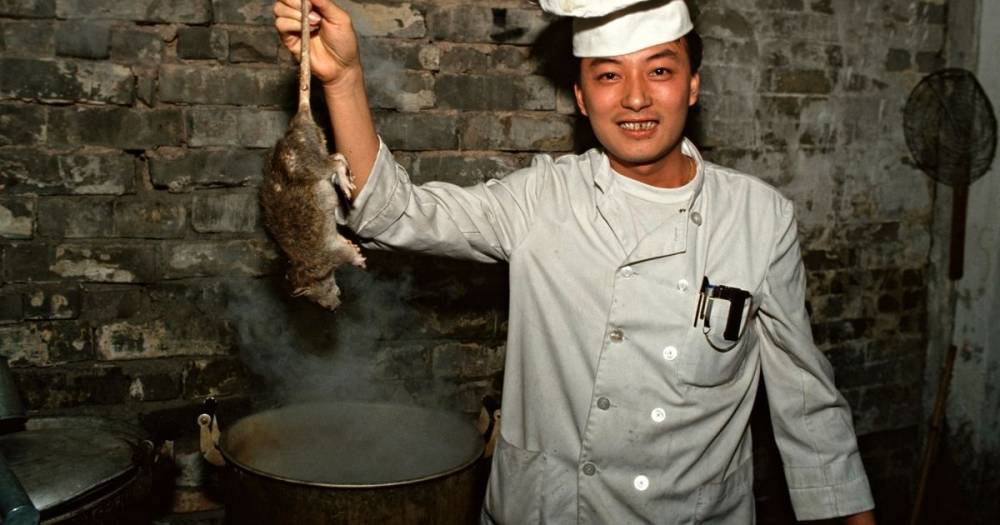 Zhong Nanshan - Giant rats bred in China for 'nutritious' meat by cooks before coronavirus ban - dailystar.co.uk - China